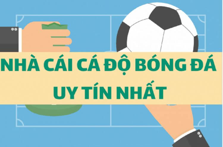 nhà cái nào uy tín