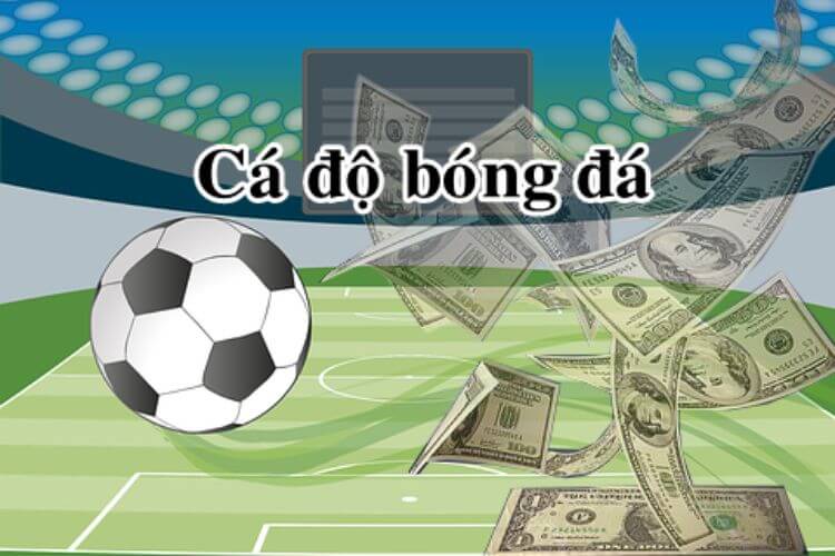 cá độ bóng đá