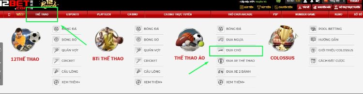 các bước chơi thể thao đua chó ảo tại 12bet